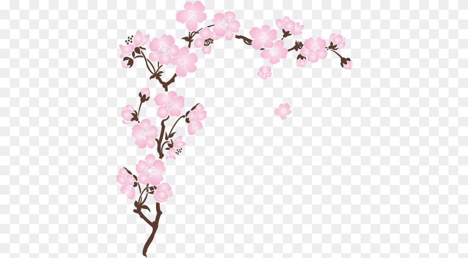 Sticker Sakura Cerisier Sticker Fleur De Cerisier, Cherry Blossom, Flower, Plant Free Png Download