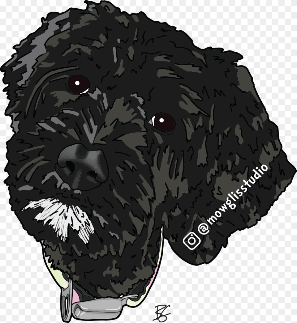 Sticker Toy Poodle, Animal, Canine, Mammal, Pet Png