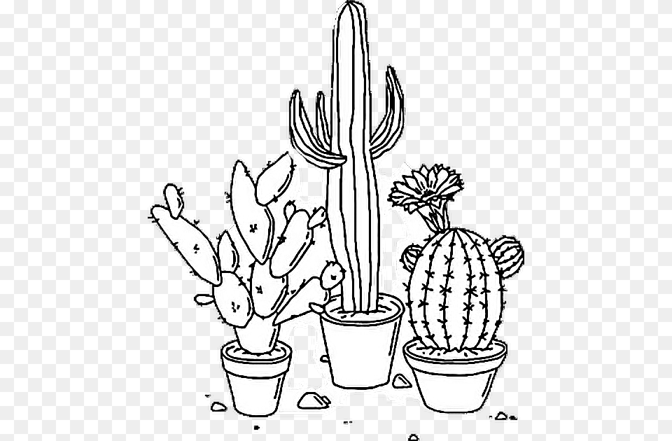 Sticker Tumblr Aesthetic Cactus Plant Blackandwhite Aesthetic Black And White, Baby, Person Free Png