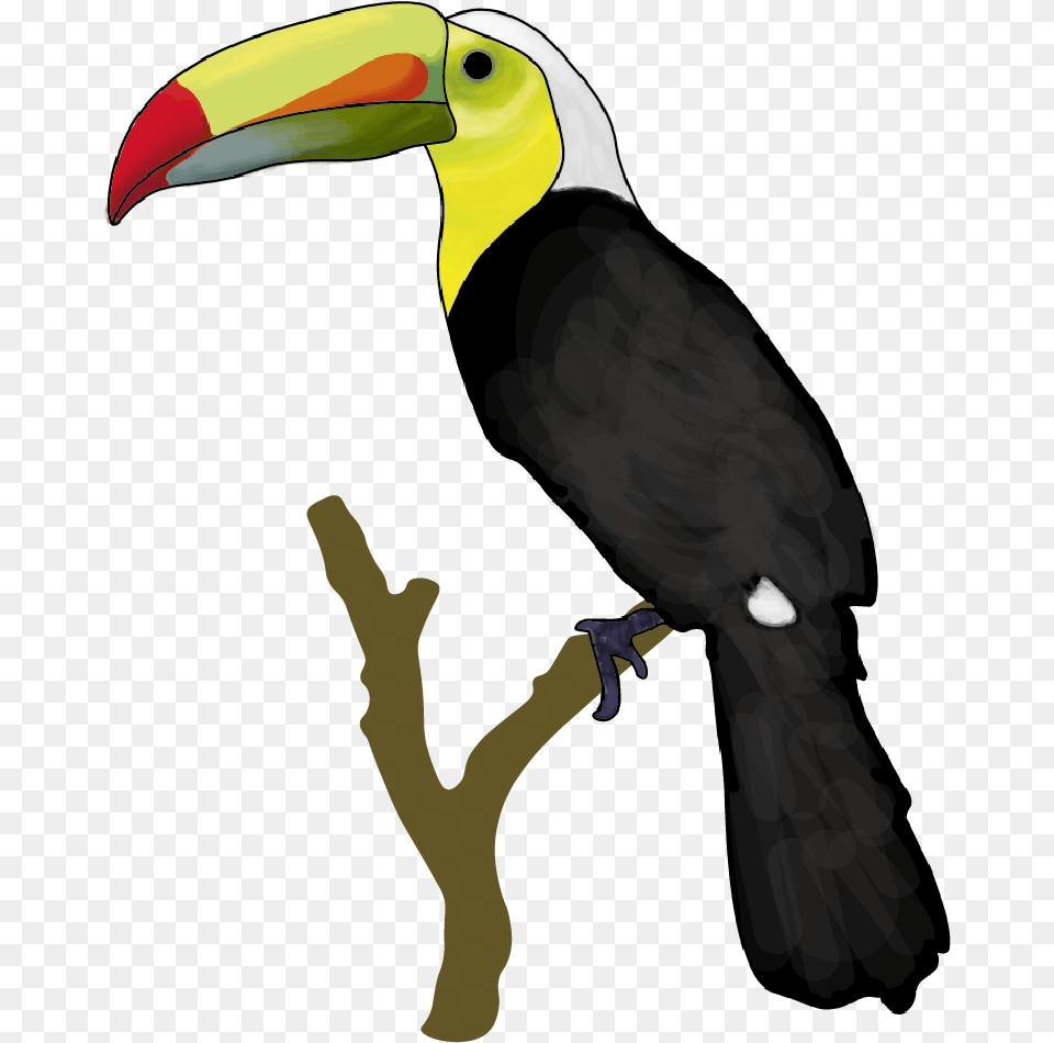 Sticker White Background Round Toucan Toucan, Animal, Beak, Bird, Person Png Image
