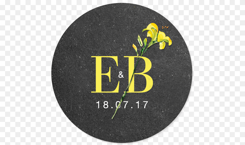 Sticker With Your Logo And A Yellow Flower Circle, Plant, Disk Png