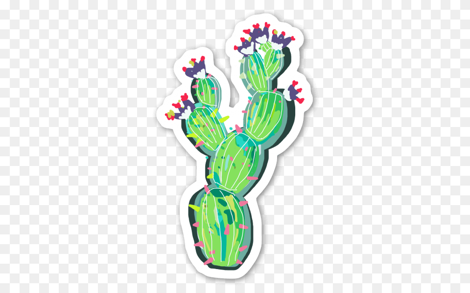 Stickerapp, Cactus, Plant Free Png