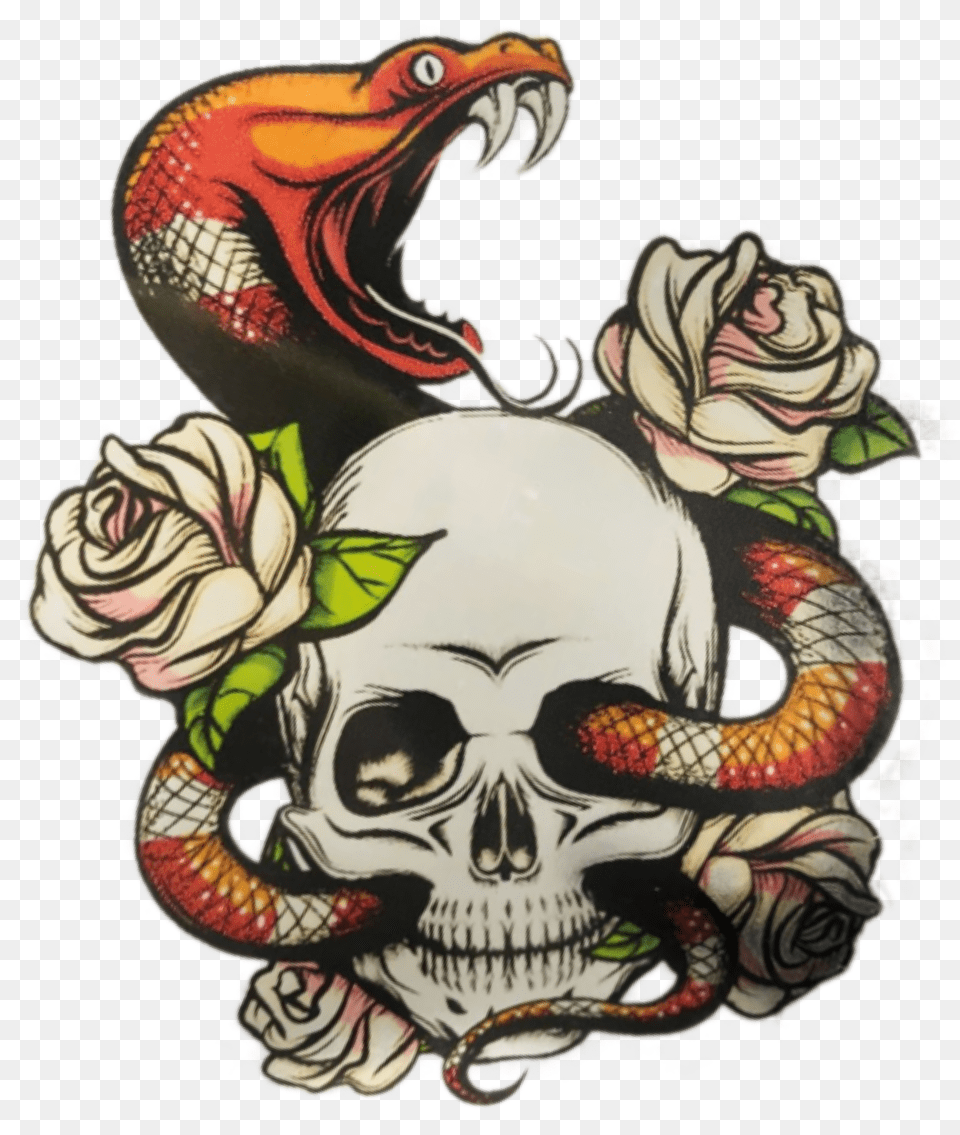 Stickergang Snake Skull Slither Rose Flower Venom Roses And Snakes Colored Drawings, Art, Plant, Face, Head Free Png