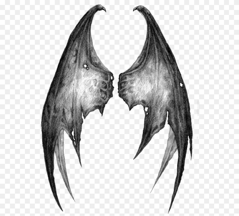 Stickergang Wings Demon Dragon Angel Whoknows Transparent Demon Wings, Accessories, Animal, Horse, Mammal Free Png Download