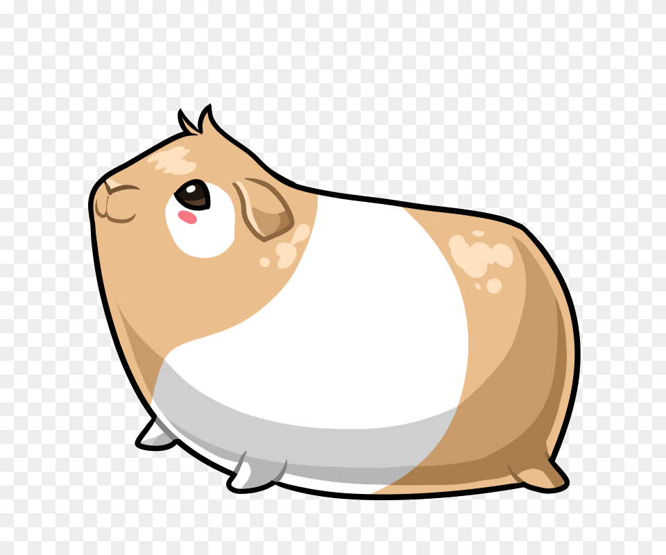 Stickerpop Guinea Pig, Animal, Mammal, Rodent, Hamster Png