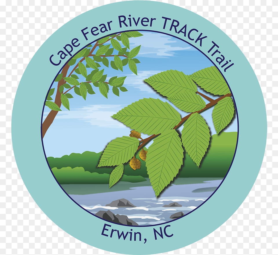 Stickers For Kids In Parks Program Elm, Leaf, Plant, Vegetation, Tree Free Transparent Png