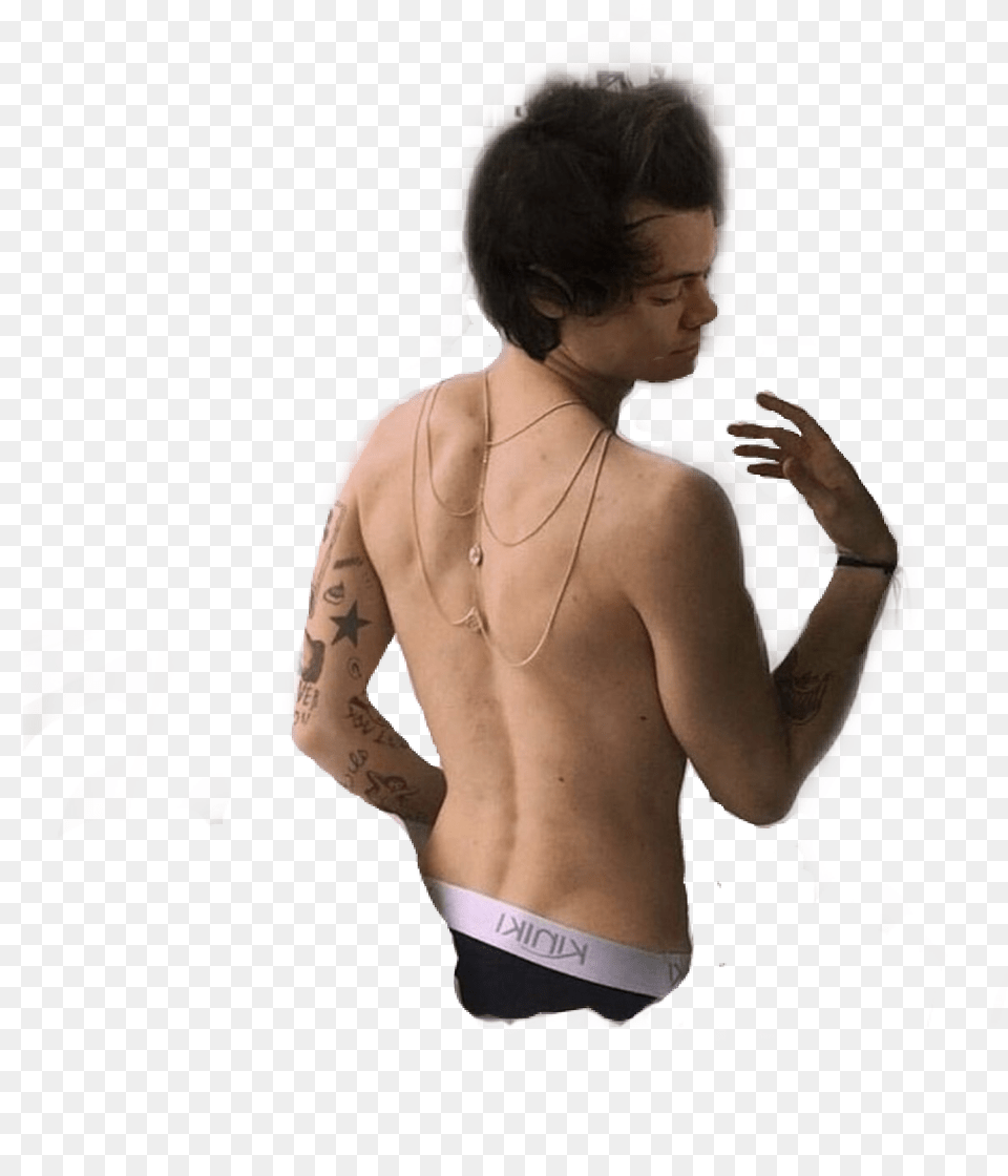 Stickers Hot Sexyboy Harry Harrystyles Styles Calvinkle Harry Styles, Tattoo, Back, Body Part, Skin Png Image