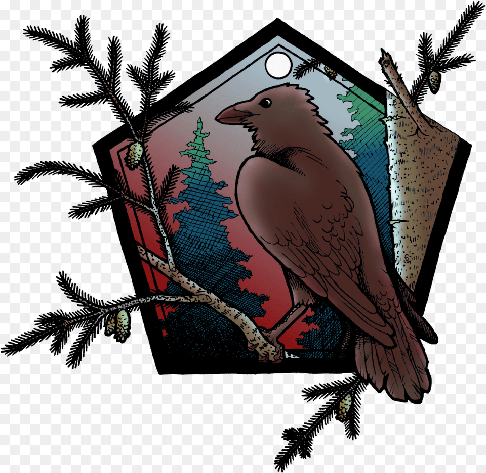 Stickers Illustration, Animal, Beak, Bird, Blackbird Free Png Download