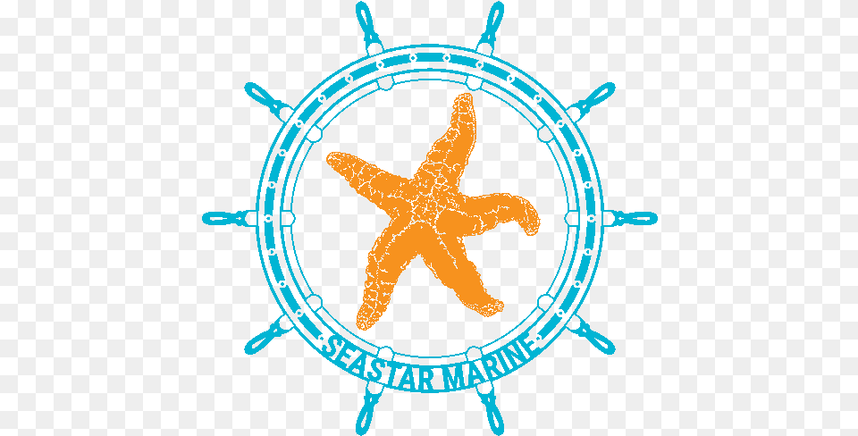 Stickers Orange Seastar Marine Tm Mri Magnet Shim Coil, Animal, Person, Sea Life, Invertebrate Free Png Download