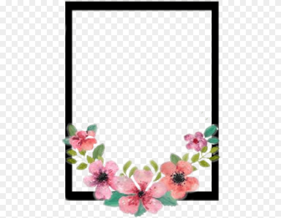 Stickers Sticker Overlay Flores, Flower, Plant, Art, Floral Design Png Image