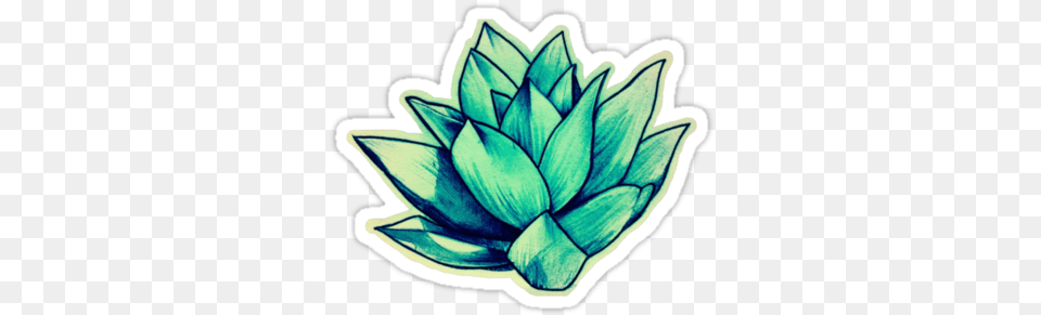 Stickers Succulent, Leaf, Plant, Art, Dahlia Free Png Download