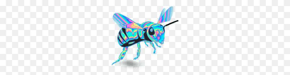 Stickers Tumblr, Animal, Bee, Insect, Invertebrate Png