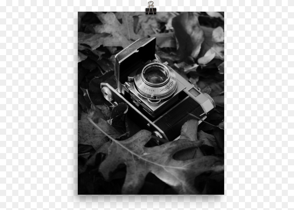 Still Life, Leaf, Plant, Electronics, Camera Png Image