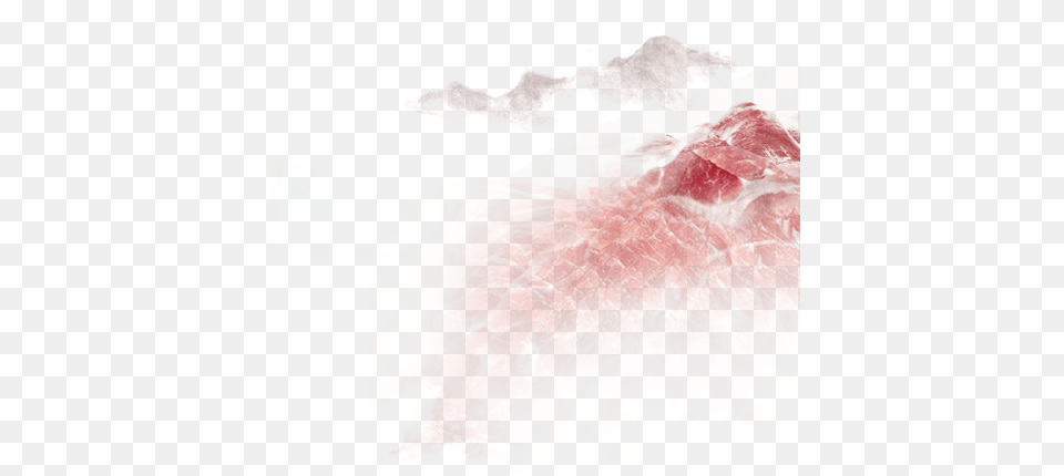 Still Life, Food Png