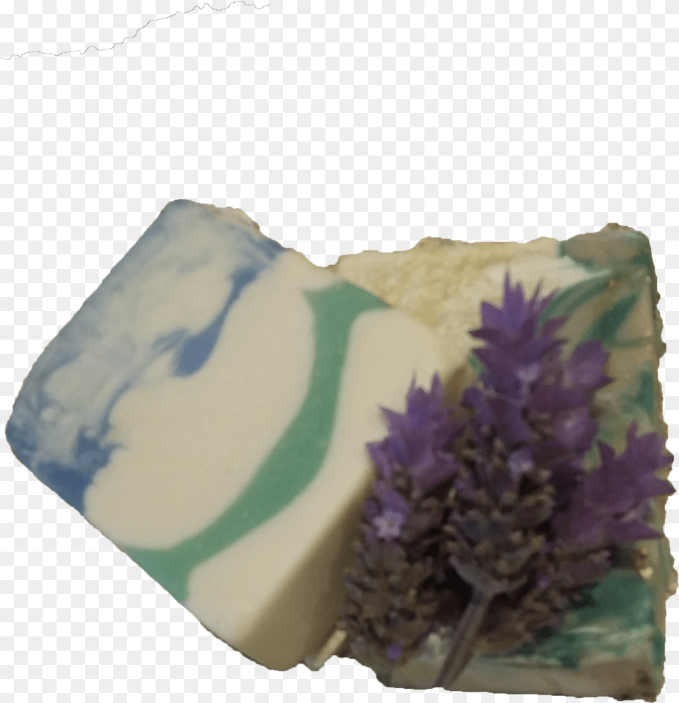 Still Life, Soap, Flower, Plant, Lavender Free Transparent Png