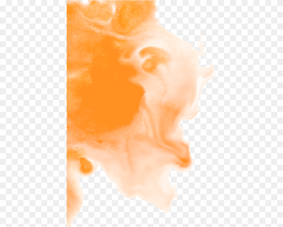 Still Life, Stain, Person, Face, Head Free Transparent Png