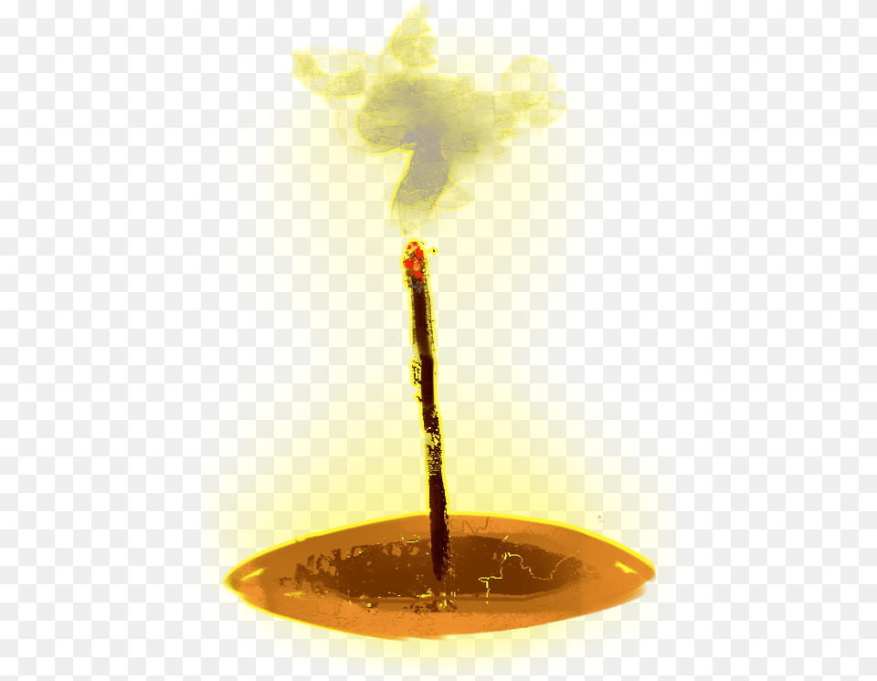 Still Life Photography, Plant, Fire, Flame Png Image