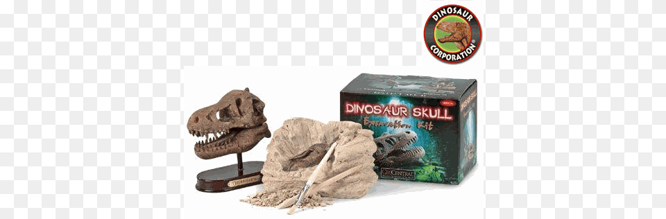 Stimulate Your Child39s Mind With A Dino Dig Geocentral Excavation Dig Kit Dino Skull, Animal, Dinosaur, Reptile, T-rex Png Image