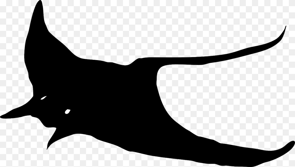 Sting Ray Clip Art, Animal, Fish, Manta Ray, Sea Life Png Image