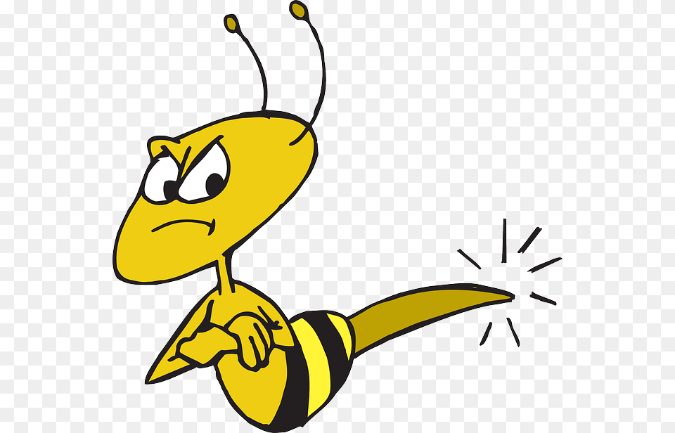Stinger Clipart, Animal, Bee, Insect, Invertebrate Free Png Download