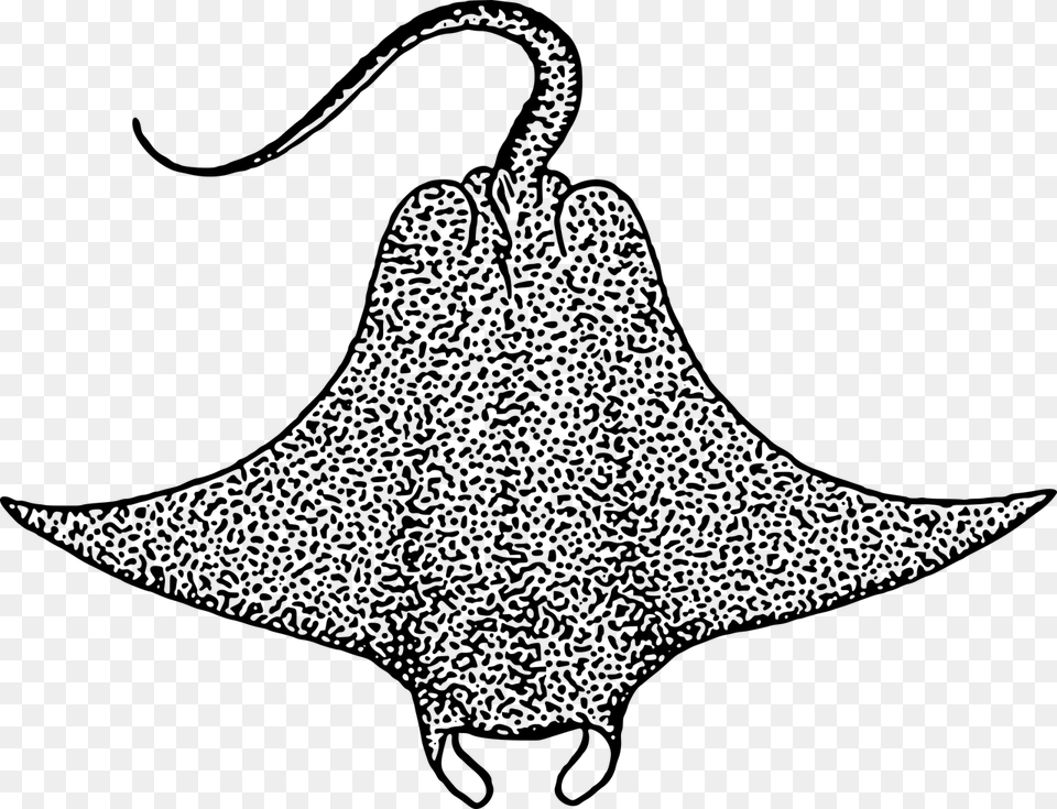 Stingray Black And White, Gray Png