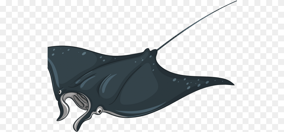 Stingray Clipart, Animal, Fish, Manta Ray, Sea Life Free Png Download