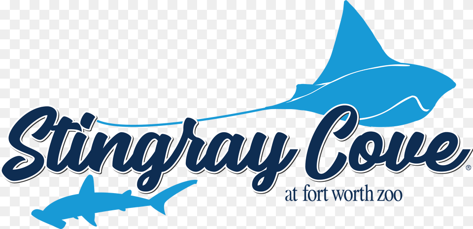 Stingray Cove Stingray Cove Fort Worth Zoo, Animal, Sea Life, Fish, Shark Free Transparent Png