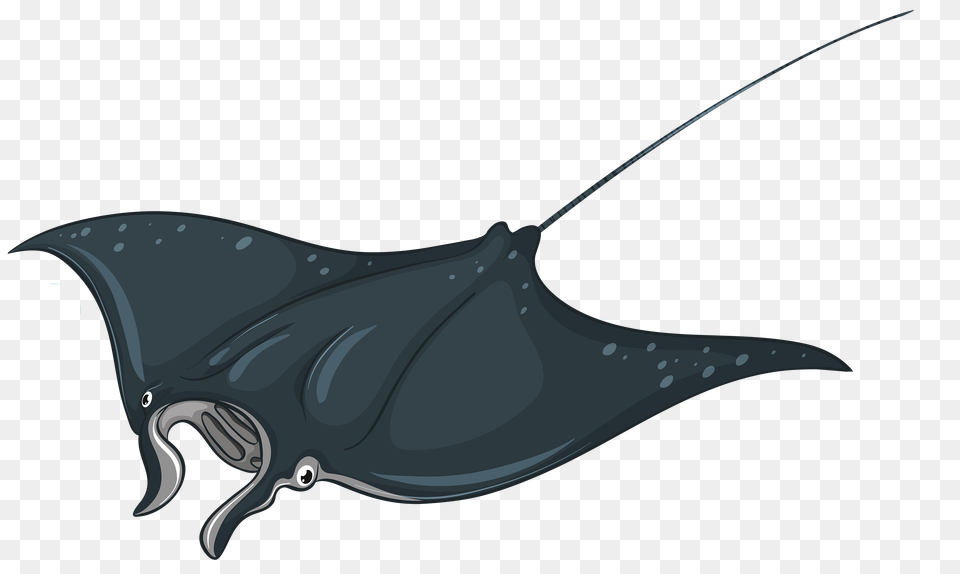 Stingray Xxslystarxx Wiki Fandom Powered, Animal, Fish, Manta Ray, Sea Life Png Image
