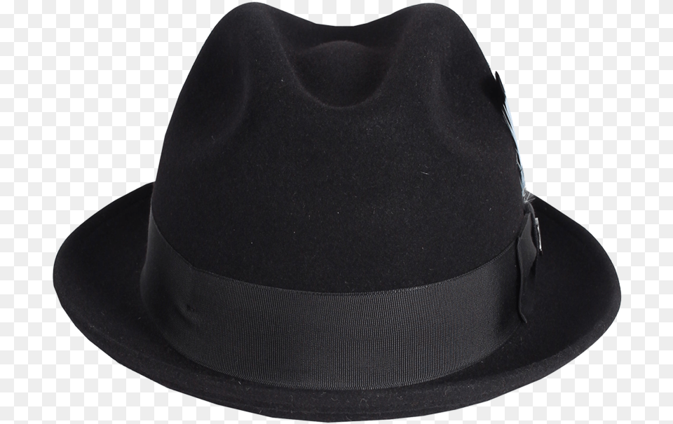 Stingy Fedora, Clothing, Hat, Sun Hat Free Png