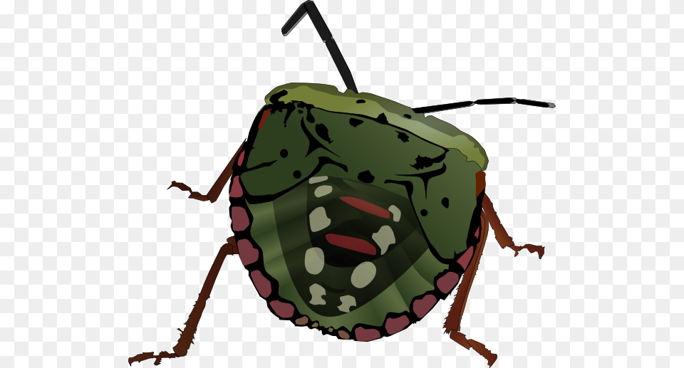 Stink Bug Clip Art, Person, Animal Free Transparent Png