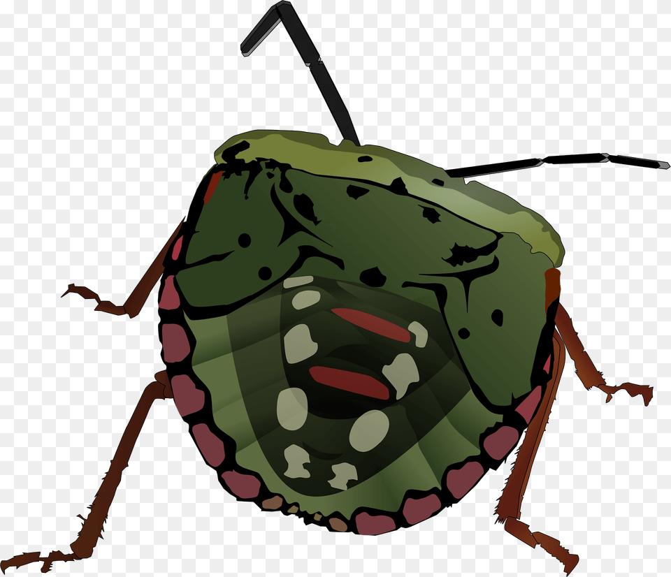 Stink Bug Clipart, Animal, Fish, Sea Life, Shark Free Png