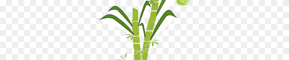 Stinktier Clipart Clipart Station, Bamboo, Plant Free Png Download