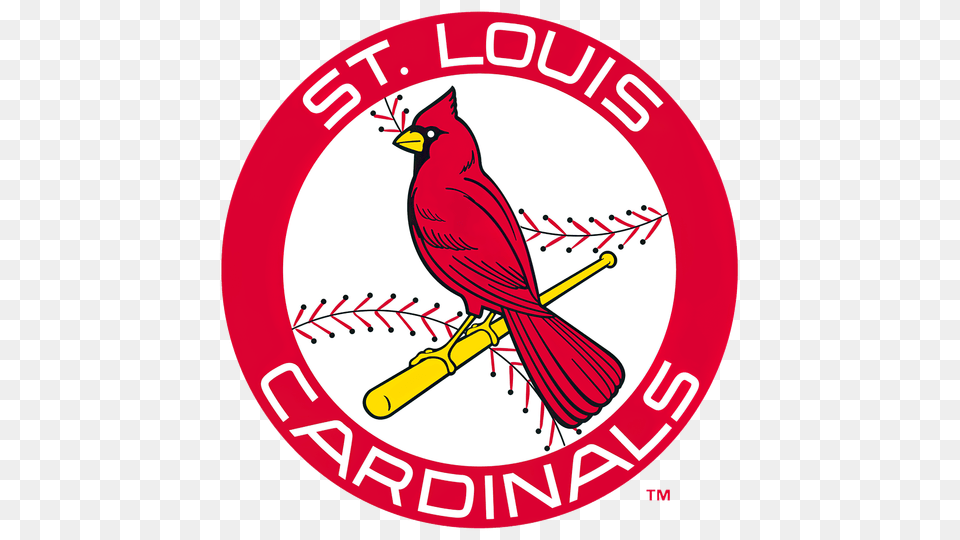 Stl Cardinals Baseball St Louis Cardinals Logos, Animal, Bird, Cardinal Free Png Download