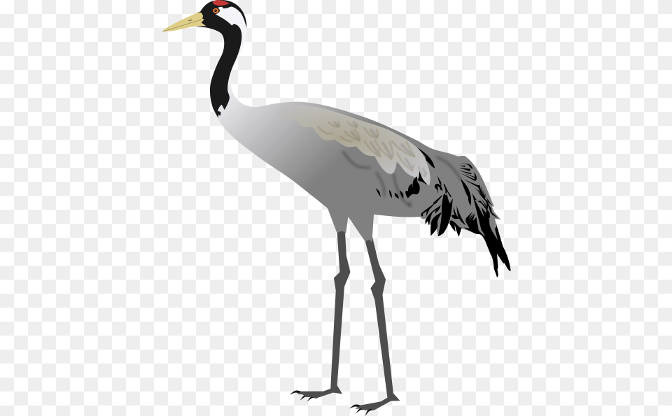 Stock Birds Svg Crane Sandhill Crane Transparent Clipart, Animal, Bird, Crane Bird, Waterfowl Free Png