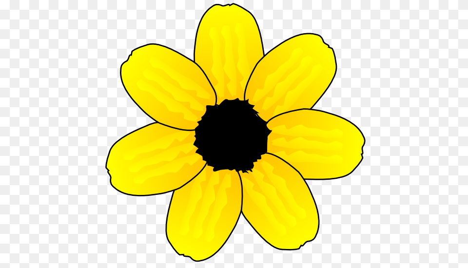 Stock Clip Art Icon, Anemone, Daisy, Flower, Petal Png