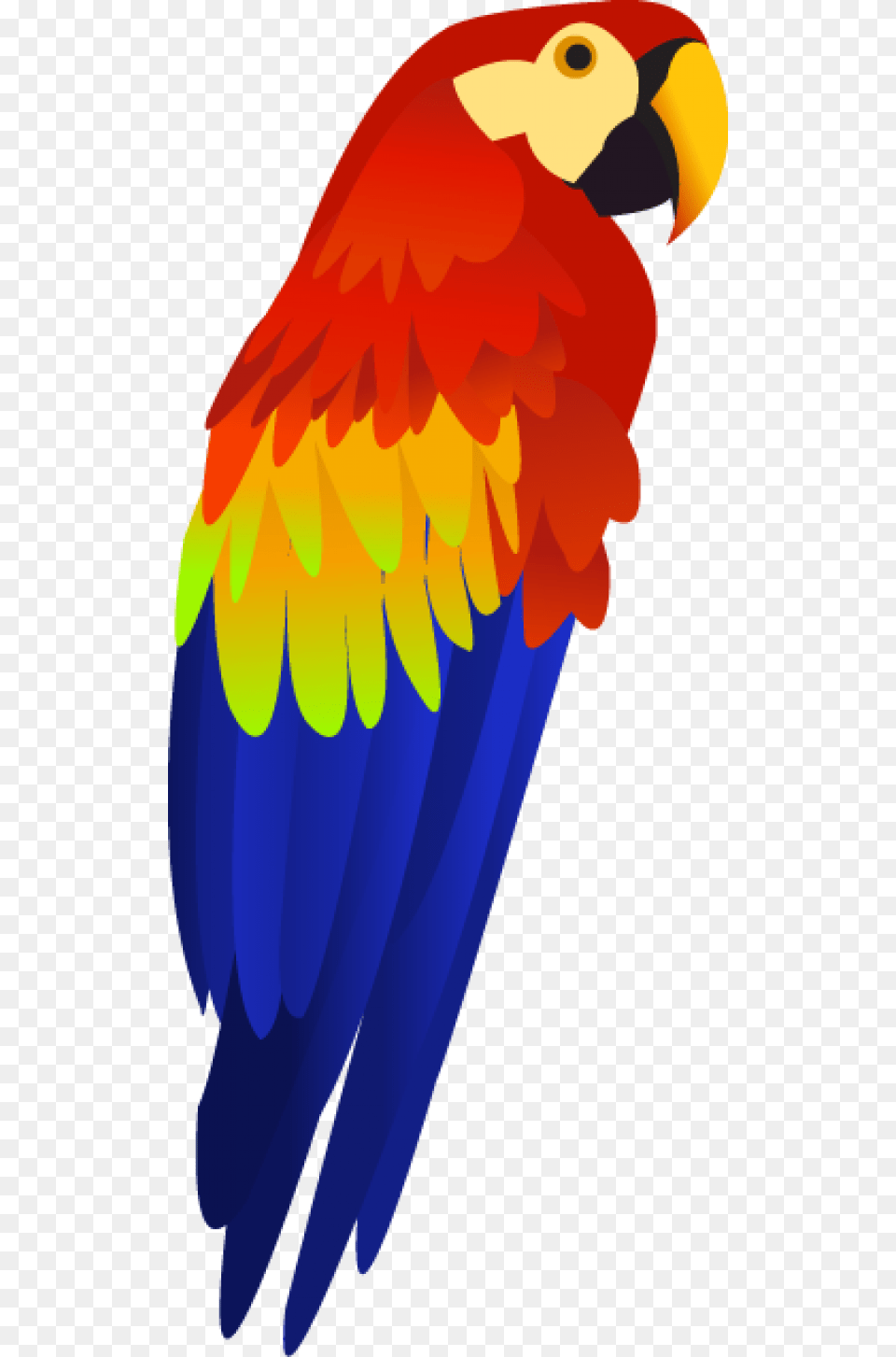 Stock Colorful Parrot Images Free Download Parrot Clipart Transparent Background, Animal, Bird, Macaw Png