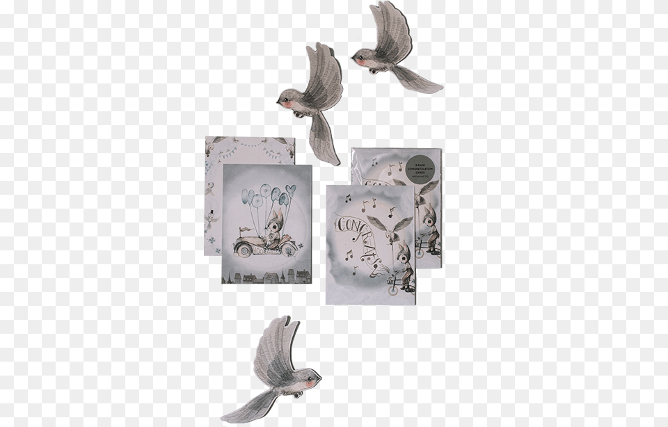 Stock Dove, Animal, Bird, Flying, Finch Png Image