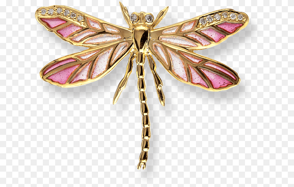 Stock Dragonfly, Accessories, Jewelry, Animal, Brooch Free Png