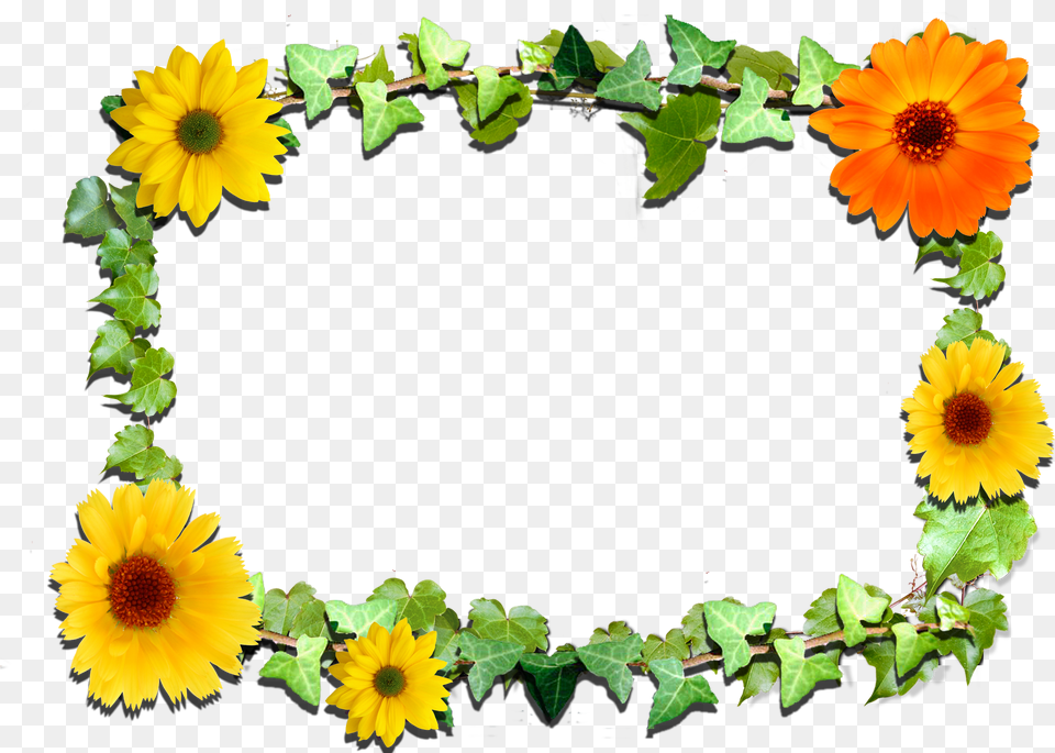 Stock Flower Frame Clipart, Sticker, Logo, Baby, Cream Free Transparent Png