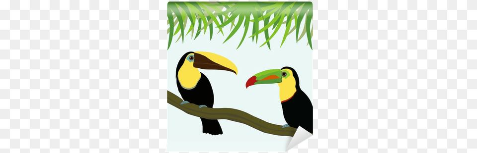 Stock Illustration, Animal, Beak, Bird, Toucan Free Png
