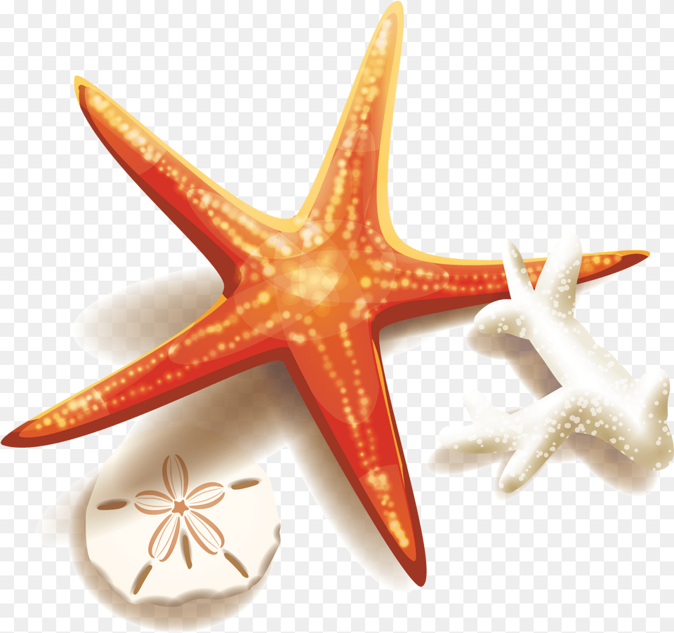 Stock Illustration Clip Art Clip Art, Animal, Sea Life, Invertebrate, Starfish Free Png