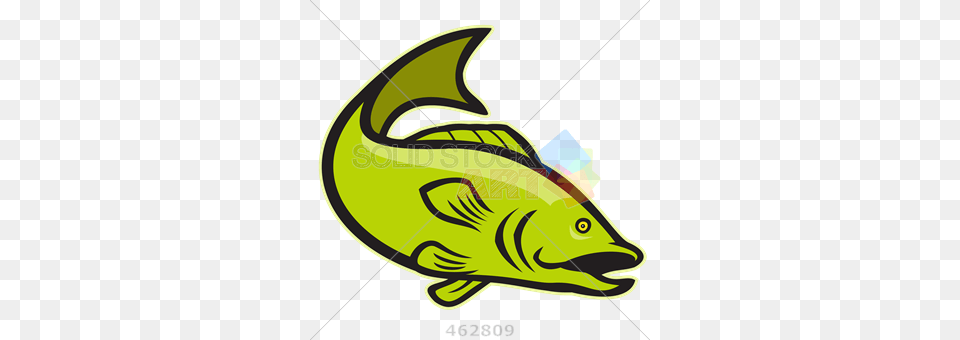 Stock Illustration Of Largemouth Bass In Green Cartoon Logo, Angler, Person, Outdoors, Leisure Activities Free Png Download