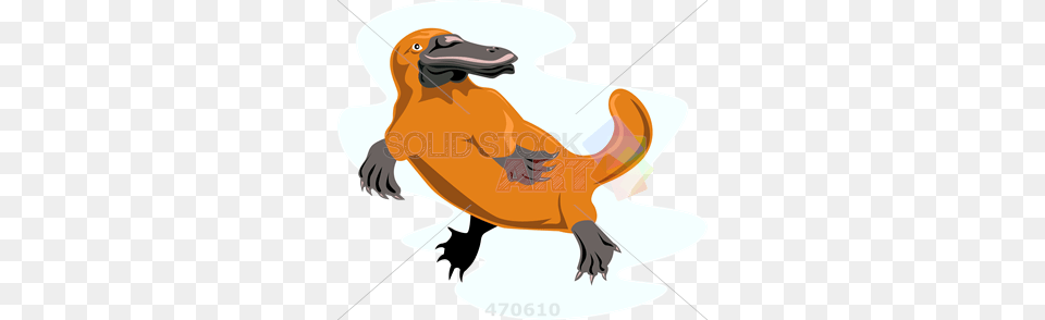 Stock Illustration Of Old Fashioned Cartoon Rendition Of Platypus, Animal, Bird, Fish, Sea Life Free Png Download