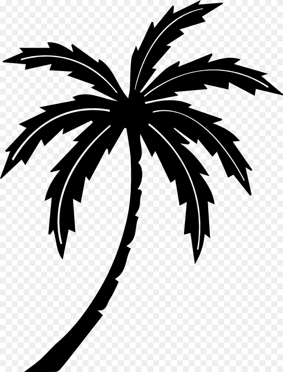 Stock Palm Tree Tropic Graphics Illustrations Palm Tree Clip Art Black, Gray Png
