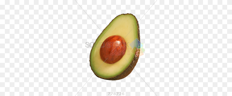 Stock Photo Of Halved Avocado Fruit Isolated On Transparent Avocado Halved, Food, Plant, Produce, Ball Png Image