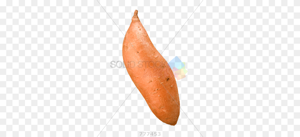 Stock Photo Of Orange Sweet Potato Isolated On Transparent Sweet Potato Transparent Background, Food, Plant, Produce, Sweet Potato Png Image