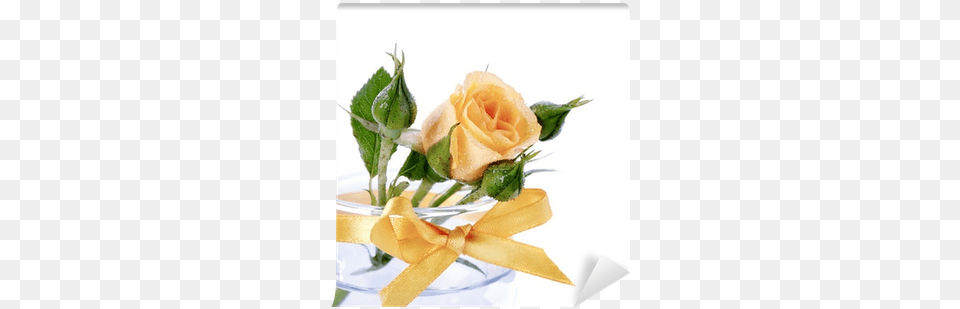 Stock Photography, Flower, Plant, Rose, Flower Arrangement Png
