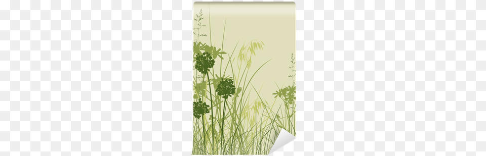 Stock Photography, Grass, Herbs, Plant, Herbal Free Png Download