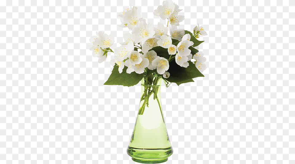 Stock Photography, Flower, Flower Arrangement, Flower Bouquet, Jar Free Png Download