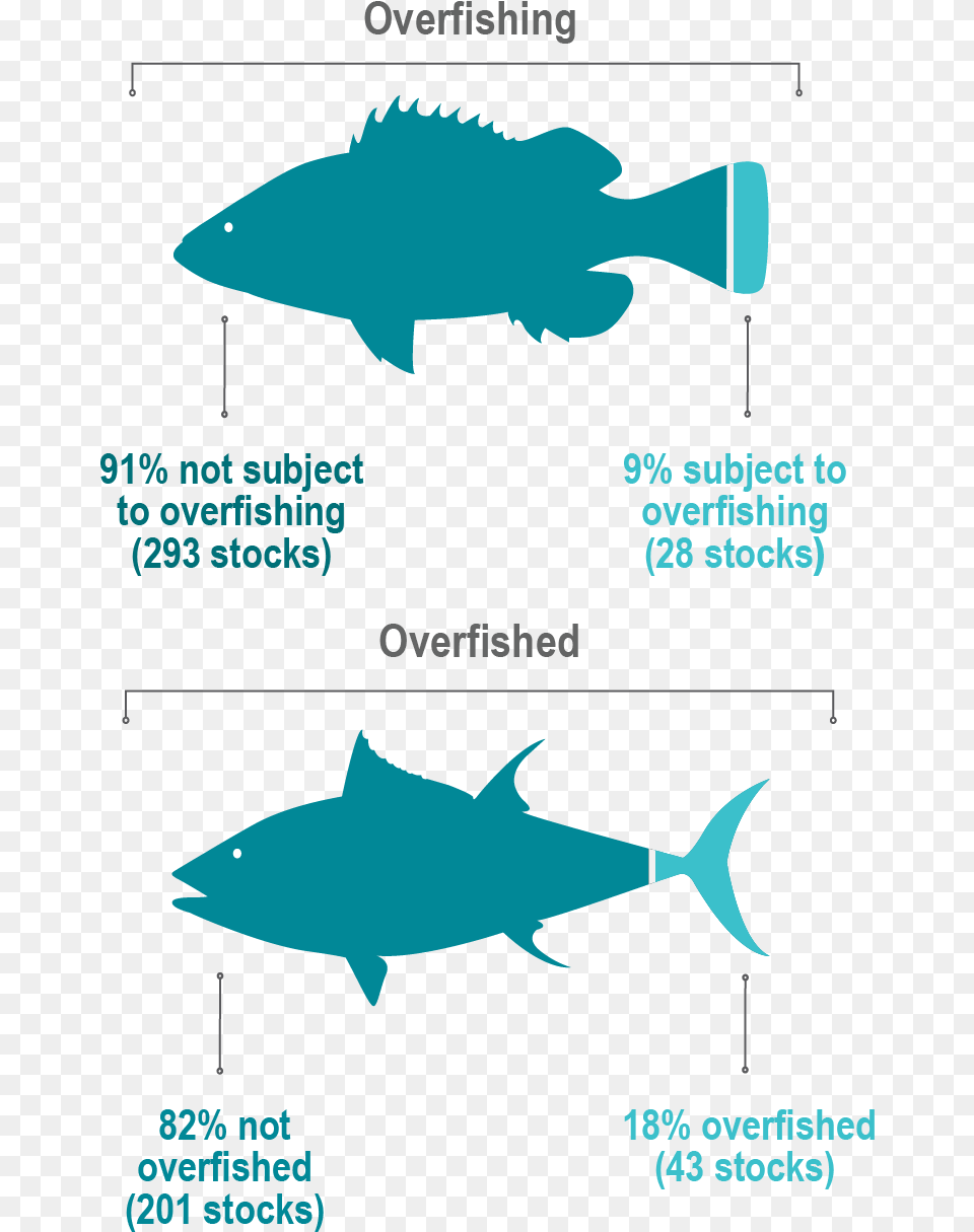 Stock Status Fish Graphic 01 01 Number Of Overfished Stocks, Animal, Sea Life, Tuna, Shark Free Transparent Png